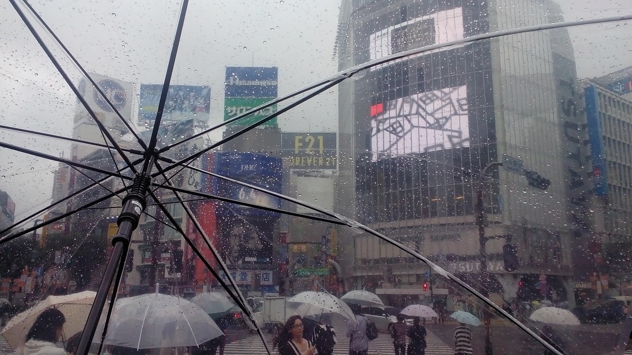 革新雨天体验，最新高科技雨伞亮相